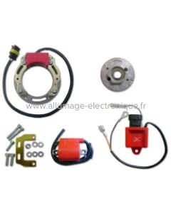 Kit de encendido de rotor interno Aprilia con motor rotax 123 - AF1 125 (1989-1992) Pegaso 125 (1989-1994) Red Rose 125 (1987-1994) RS125 (1996-1998), RX125 (1995-1998) Tuareg 125 (1989) -1992) - 068K017