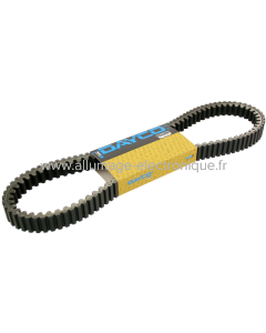 Correa de transmision Dayco Beverly eu3 500cc