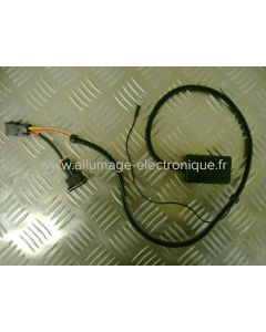 EFI009 - ENDURO - APRILIA - Aprilia: Pegaso 660 Strada/Trail (2005-2011) BMW: 650 F GS (2000-2009)