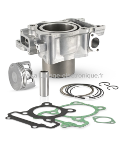 Cilindro EVOK Honda Sh300 i 2007/2019