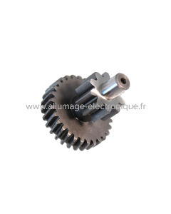 Engranaje Duplo Reforzado z10 Dientes Rectos z29 Dientes Helicoidales Evok ciao-si-bravo con variador 178696