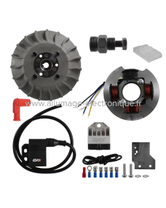 Evok Kit de encendido electrónico Piaggio Vespa 50cc L/N/R/PK/Primavera/ET3 Ø19
