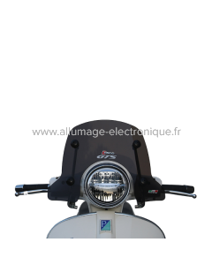 Carenado bajo FACO Piaggio Vespa GT200 29000