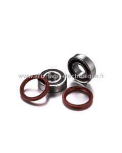 Juego de cojinetes de rueda trasera TM Racing Factory Links