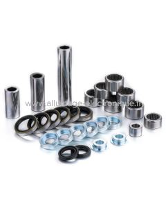 Juego de reconstrucción bieletas Beta RR Factory Links