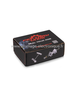 Kit de cojinetes de rueda trasera Factory Links para TRIUMPH