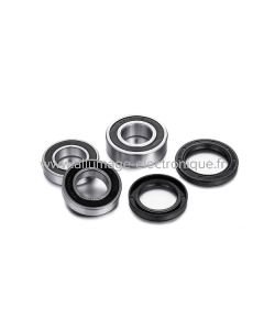 Kit de cojinetes de rueda trasera Factory Links para BMW S 1000 RR