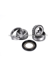 Kit de cojinetes de dirección SHERCO 50CC