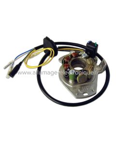 Estator de encendido + iluminación completa Honda CR250 (93-96) - ST1223L