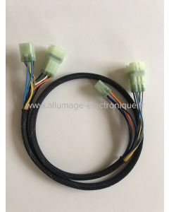 Extensión CDI Rotax 912/914