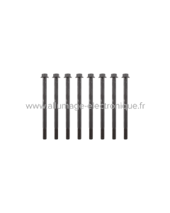 RMS Tornillos de culata serie Piaggio Porter 1.0