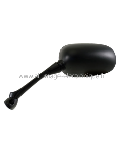 RMS Espejo Izquierdo Honda Cbf 600S/1000Fs