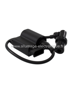 Unidad electrónica RMS Piaggio 50cc 4T