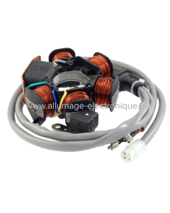 Estator RMS Piaggio Sfera/Free/Zip 50cc