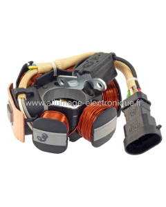 Estátor RMS Aprilia/Piaggio 50cc