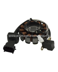Estator RMS Piaggio Vespa Gtv 125cc