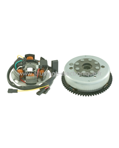 RMS Volante motor completo Derbi Gpr 2t 50cc 2009/2010
