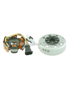 RMS Volante motor completo Aprilia/Piaggio 50cc