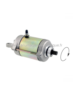 Motor de arranque RMS Kymco People 250cc