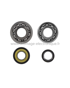 Kit de revisión de cigüeñal RMS Classic Piaggio Ape 50cc