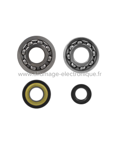 Kit de revisión de cigüeñal RMS Classic Piaggio Vespa Pk Xl 50cc