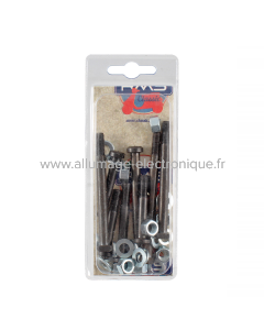 Kit de tornillos de motor RMS Classic Piaggio Ape 50cc