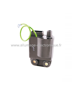 Unidad de control RMS Classic Piaggio Vespa PK50/S/XL/?Rush (I), Bravo/SI/Ciao 214417-244127-610324M