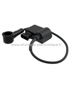 RMS Classic Centralita electrónica Piaggio Vespa Px 125-150cc 642443