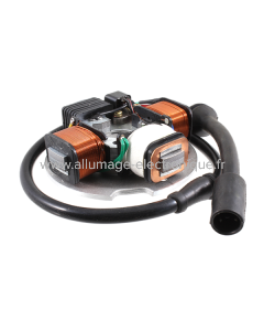 RMS Classic Estator Piaggio Vespa PK SENZA FRECCE S.AVV. 199491-19948