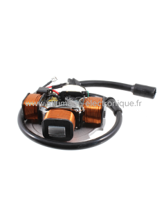 RMS Classic Estator Piaggio Vespa PK50XL 50XL RUSH cc 234321