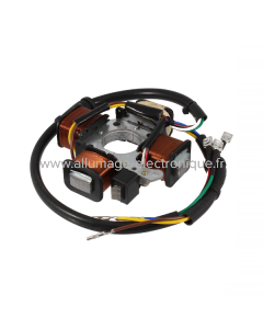 Estator RMS Classic Piaggio Ciao 293814