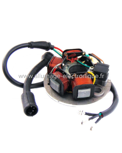 Estátor RMS Classic Piaggio Vespa Pk 50-Ape 50 - 5 hilos cc 199500