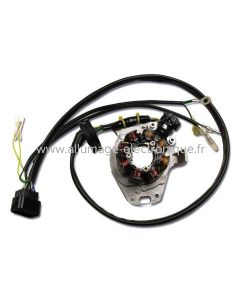 Estator de encendido + iluminación completa para Honda CR 250 (2000 - 2001) - ST1200L