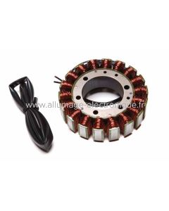 Estator Alternador APRILIA Pegaso 650 (1992-1995) - G96