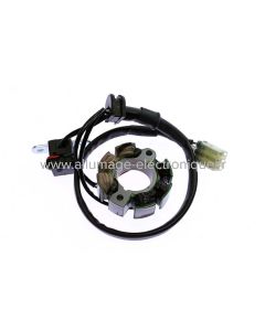 Estator de encendido Suzuki RMZ 250 - ST2475