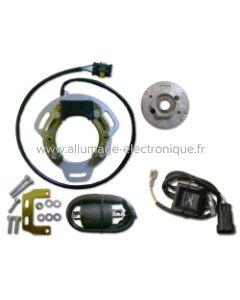 Kit de encendido de rotor interno para BSA B25/40/44/50, C15 con CDI Digital