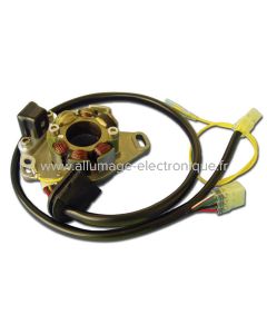 Estator de encendido + iluminación para moto Suzuki RM250 (96-00)