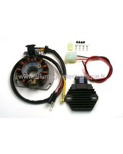 G147 y RR58 - Alternador + regulador - KTM: 125EXC, 200EXC, 300EXC