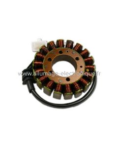 Estator Alternador Suzuki GSF 500 - G77