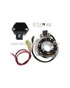 Alternador + regulador de alta potencia 250 vatios GAS GAS, KTM