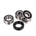 Juego de cojinetes rueda